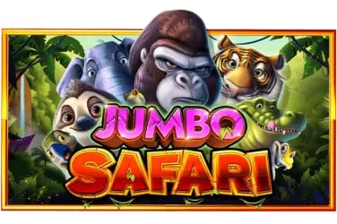 domepyan ဘင်ဂို ဂိမ်းမျိုးစုံ Myanmar Online Bingo Room ဝင်ရောက်ကစားပုံ